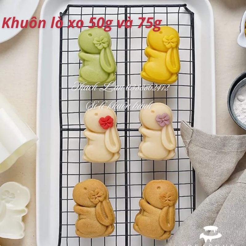Khuôn lò xo 1 mặt thỏ xinh