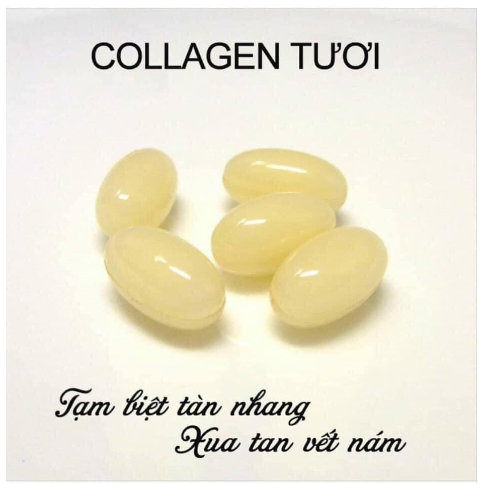  Túi đựng colagen tươi nhật bản