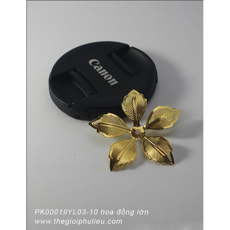 PK00019YL03-10 hoa đồng lớn.