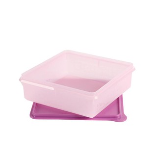 Hộp bảo quản thực phẩm Mosaic Snack Stor Tupperware