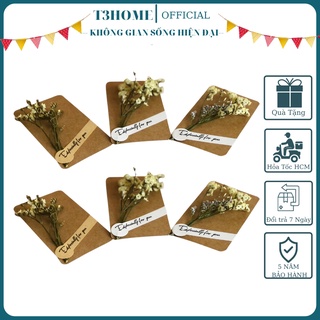 Thiệp chúc mừng bằng giấy Kraft họa tiết hoa khô độc đáo