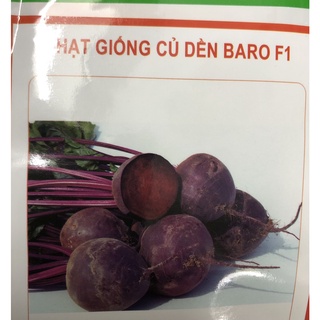 Hạt giống củ dền đỏ F1