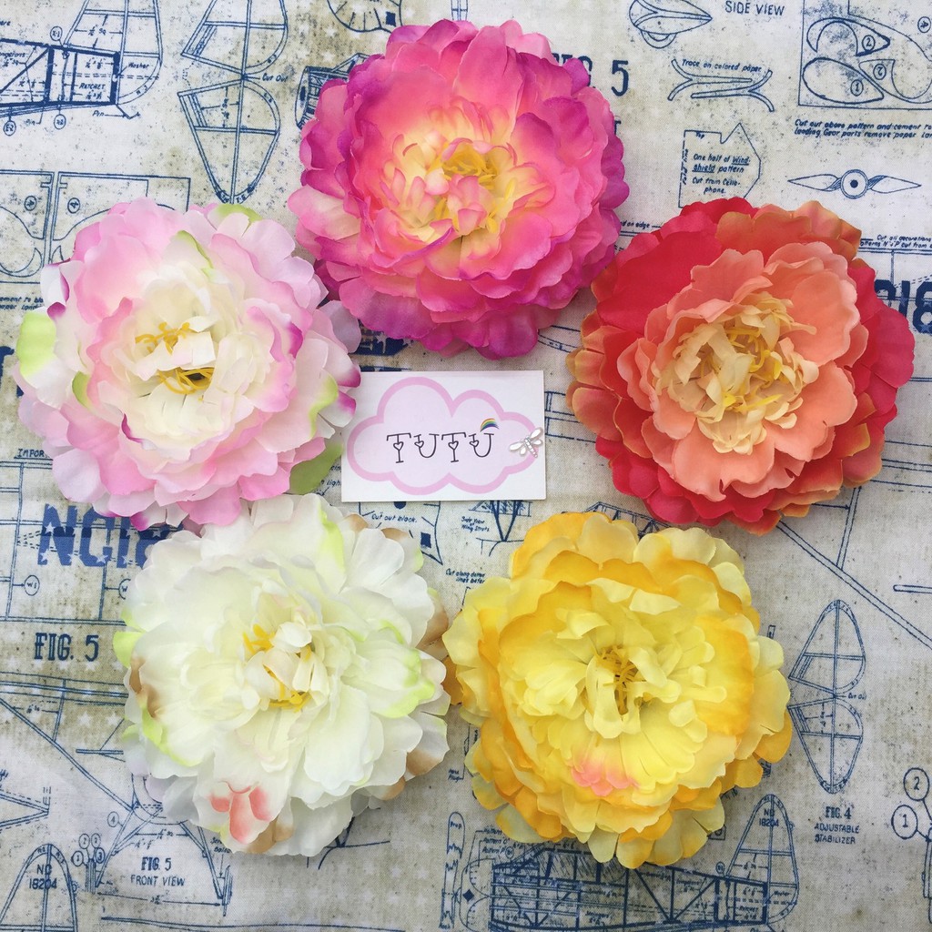 Mẫu đơn 12cm