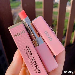 Son dưỡng  bóng Hojo