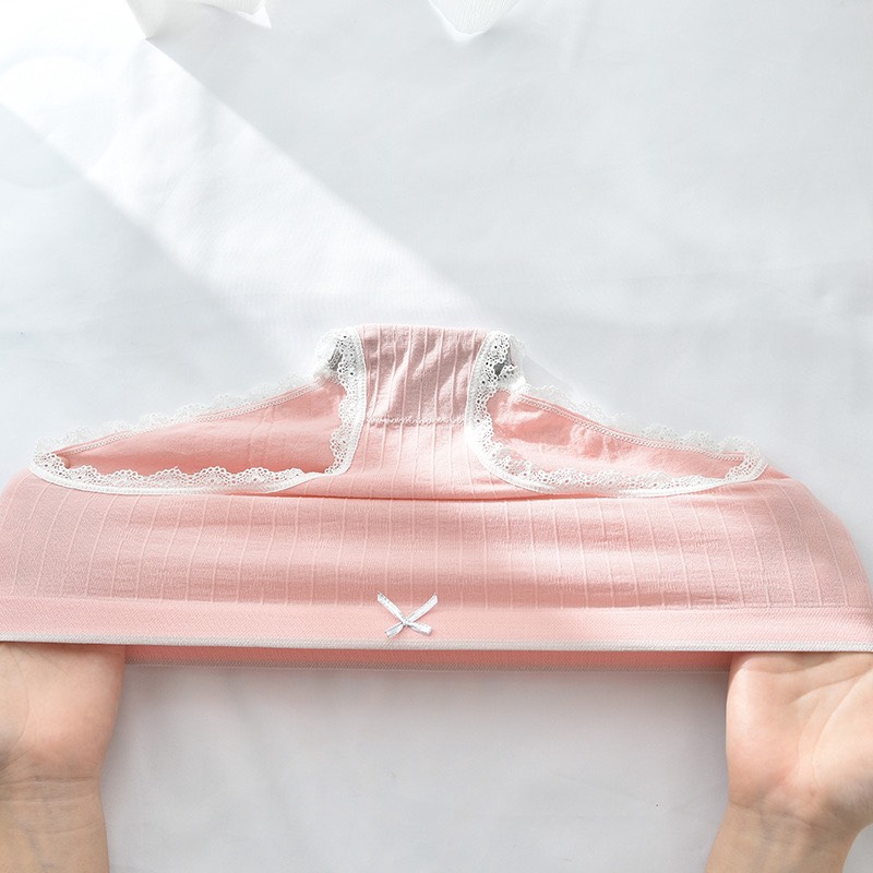 Hộp 5 Quần Lót Cotton Thiên Nga Kháng Khuẩn Dễ Thương Co Giãn 4 Chiều Cao Cấp.