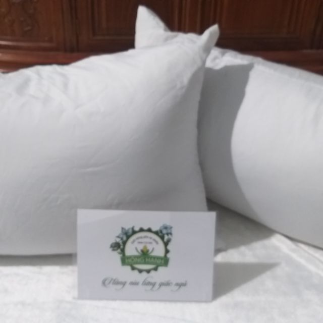 Cặp  ruột  gối  gòn đinh lăng  50x70cm
