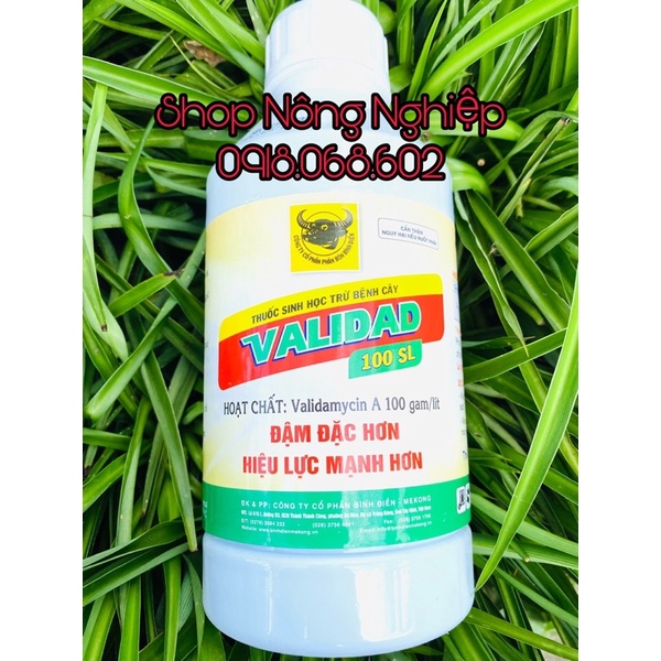 VALIDAD 100SL 900ml, chế phẩm sinh học phòng trừ nấm khuẩn cho cây trồng.