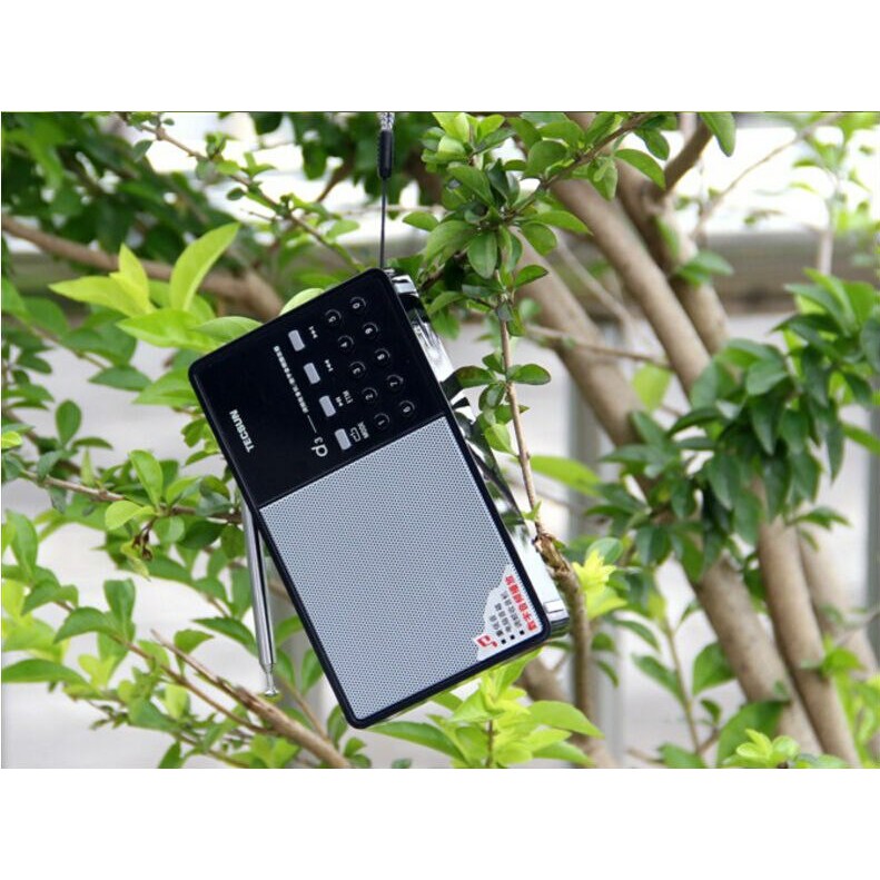 Đài Radio Tecsun D3