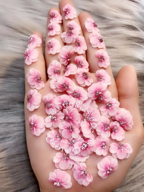 Hoa bột _ hoa cúc ôm móng