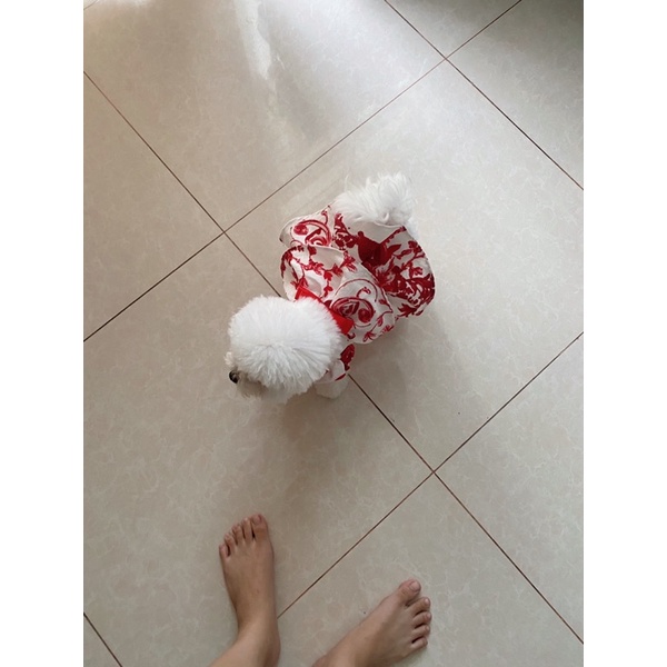 Váy Đầm Tầng Thời Trang Công Chúa Chó Mèo Thiết Kế Cao Cấp Gấm 2 TầngCarapets