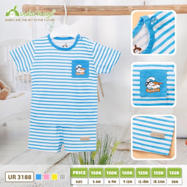 Bộ cài vai kẻ Ualarogo Ur 3188