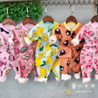 Sét 5 bộ nỉ bông