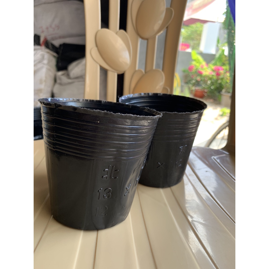 BẦU ƯƠM CÂY 13*12 ( DỊCH TRUYỀN CHO CÂY, KÍCH RỄ , MẦM CÂY XANH LÁ, LƯỚI CHE NẮNG...)