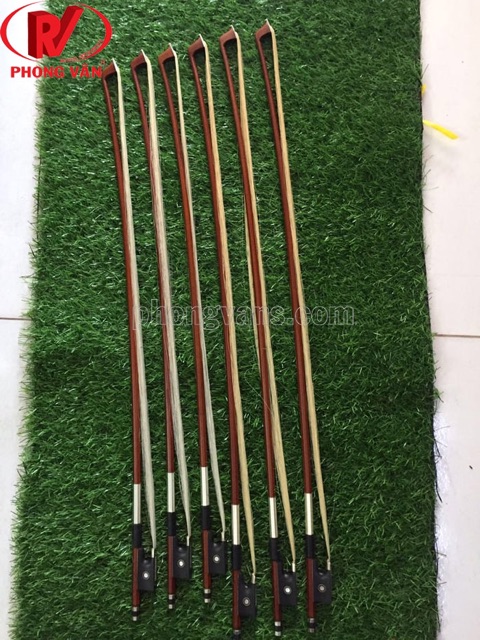 Acse vĩ cầm đàn violin