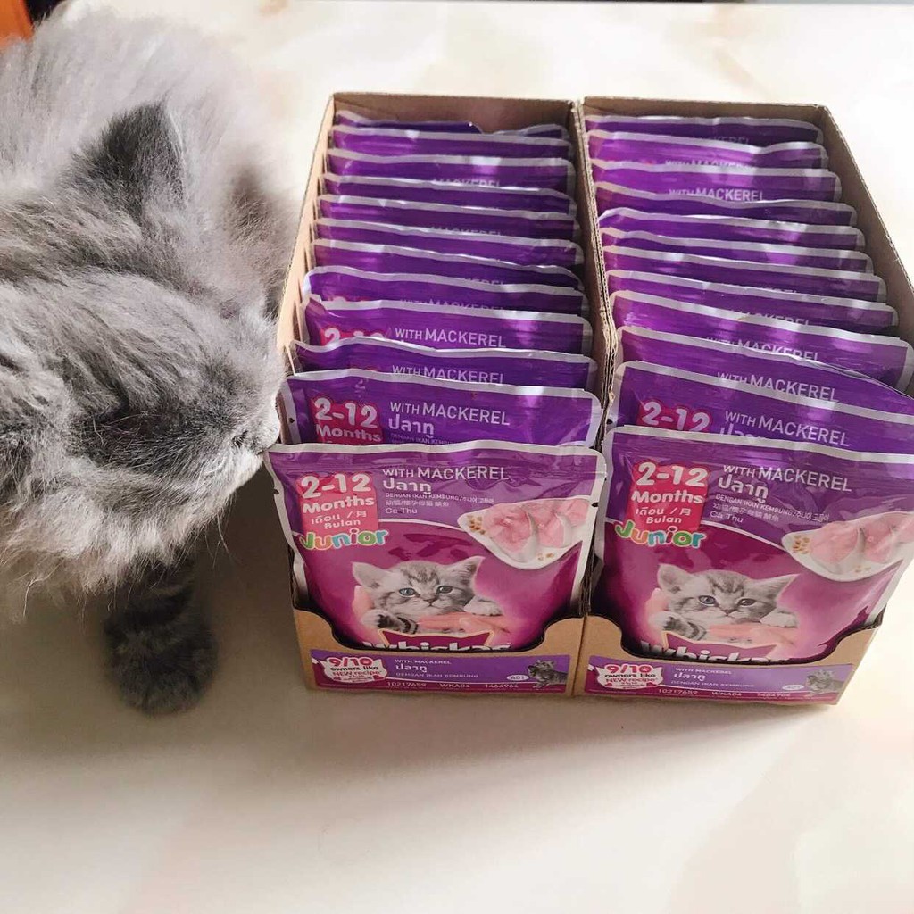 Pate Whiskas đủ vị 24 gói 85gr