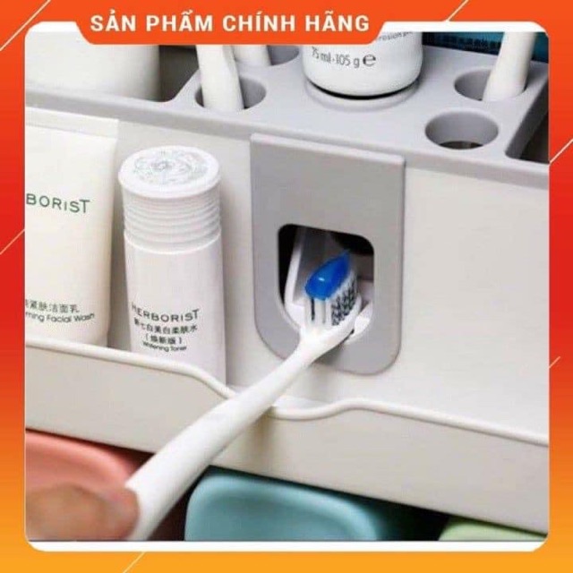 Kệ đựng bàn chải đánh răng 4 cốc