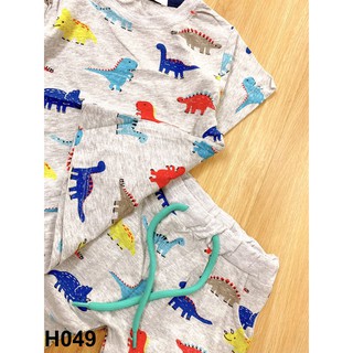 Bộ cotton khủng long bé trai