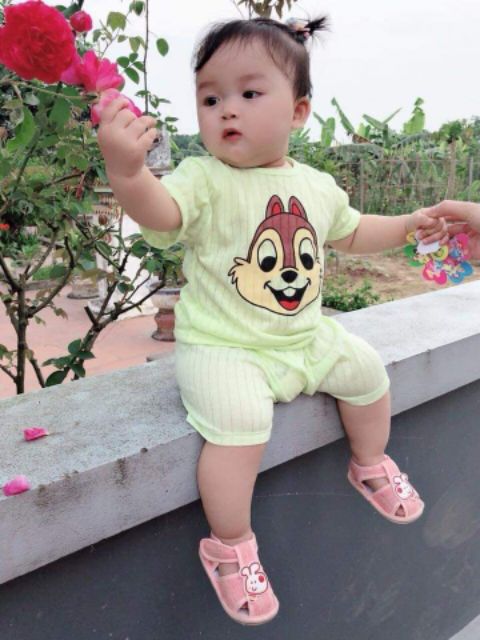 Bộ cotton giấy cho bé