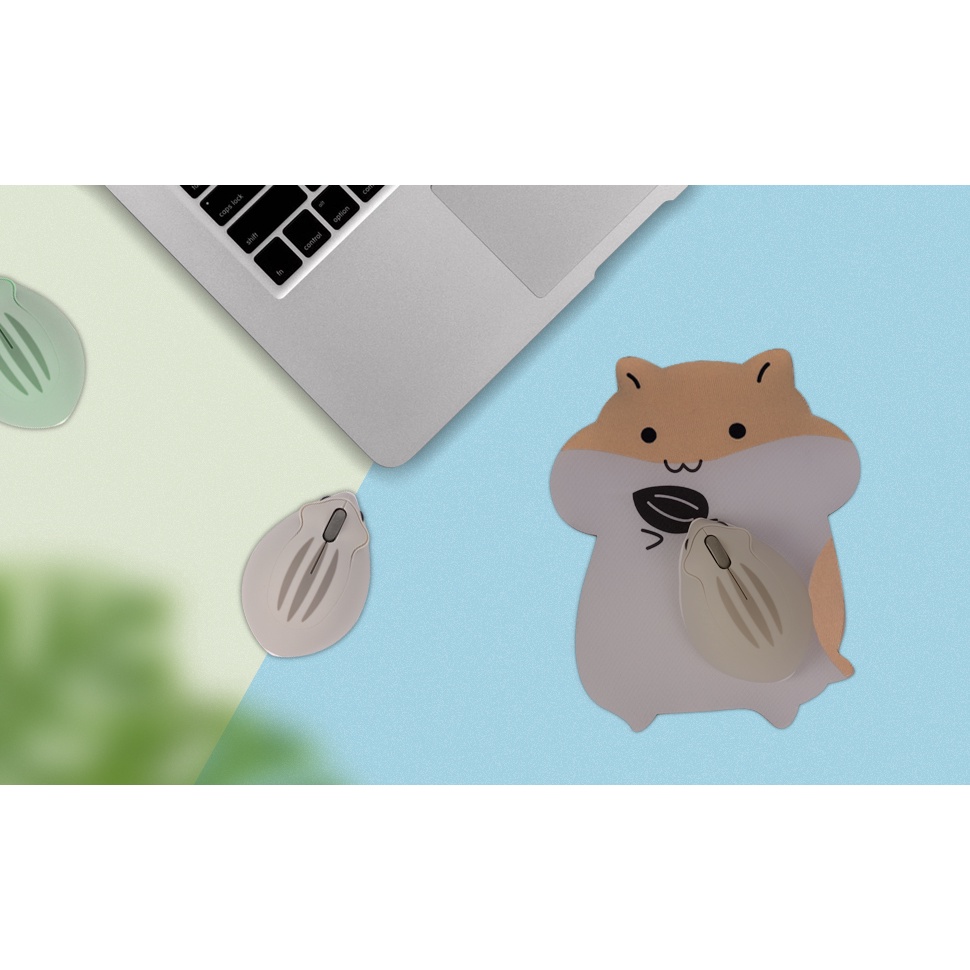 Lót ChuộT Hamster 217 * 183mm