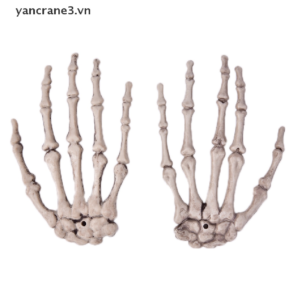 Bộ Xương Bàn Tay Hóa Trang Halloween Kinh Dị Dành Cho Người Lớn yancrane3.vn