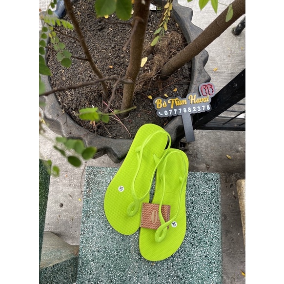 Sandanl đi biển Havaina*