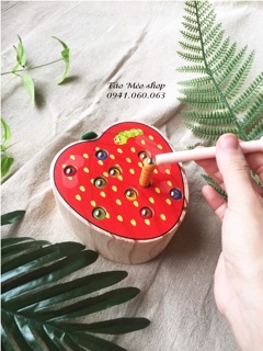 Đồ chơi gắp sâu bằng gỗ