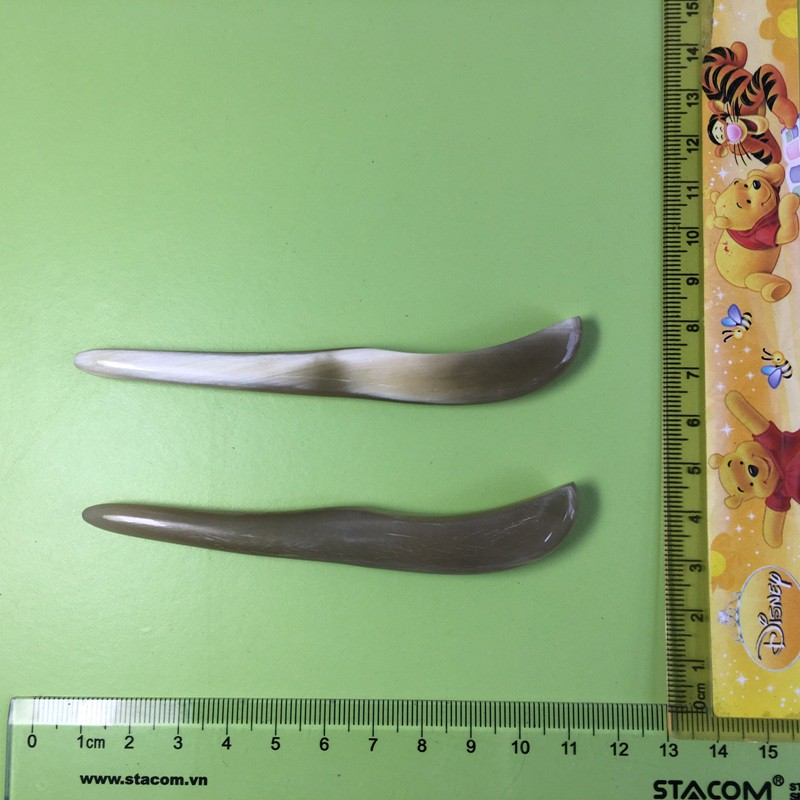 Cây đánh cảm, cạo gió sừng bò Châu Phi CCG04 Dài 10x1,5cm