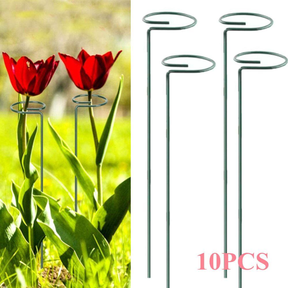 Set 1 / 10 Giá Đỡ Trồng Cây Thân Đơn Bằng Thép Không Gỉ Chắc Chắn