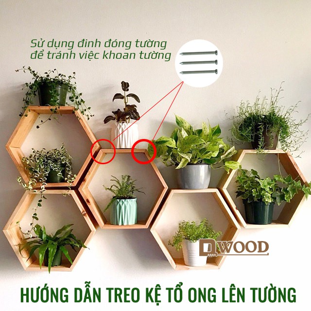 Kệ tổ ong DWOOD treo tường hình lục giác gỗ thông- nhiều size