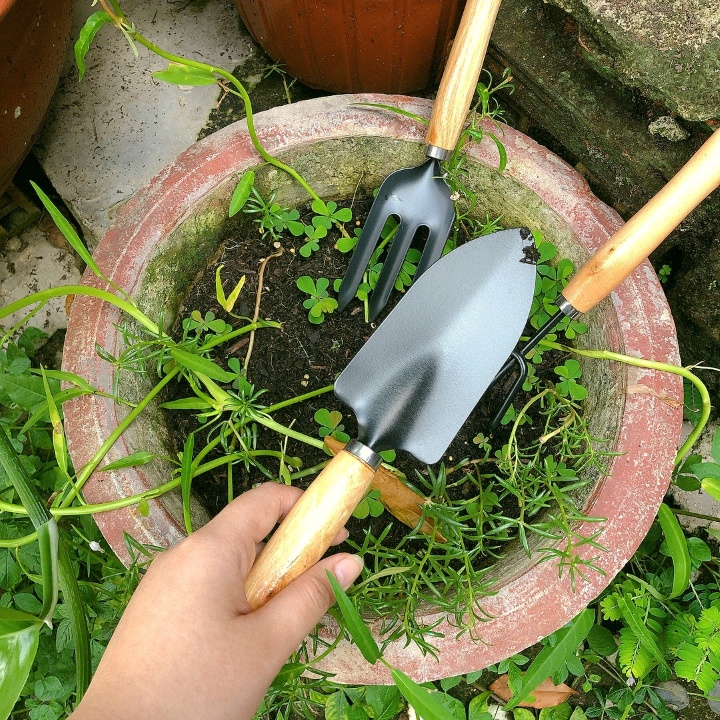 Bộ Dụng Cụ Làm Vườn Cán Gỗ Garden Tool- lớn