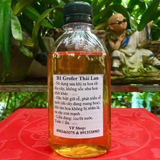 Vitamin B1 Grofer hàng Thái Lan