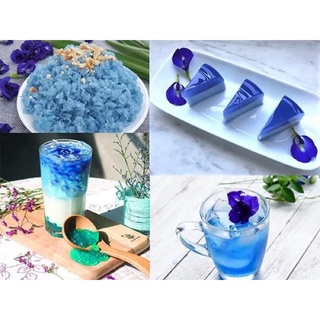 Hạt Giống Hoa Đậu Biếc {20 hạt}