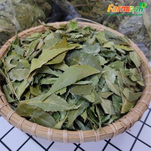 Lá neem Ấn Độ (cây xoan Ấn Độ) sấy khô cây vạn năng tốt cho tim mạch, bảo vệ gan, làm đẹp da, ngừa lão hóa | Farm24h
