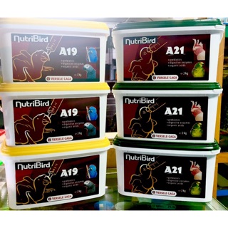 COMBO NUTRIBIRD A21 + A19 (MỖI LOẠI 100G) CHO VẸT NON.