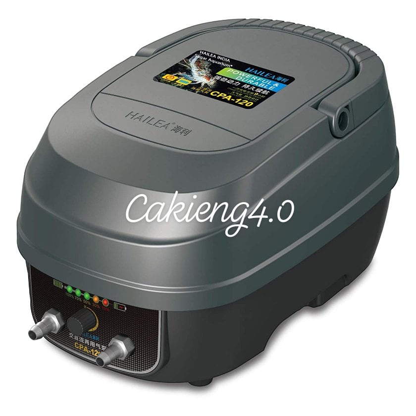 Máy sủi khí oxy tích điện Hailea CP- 120 dùng cho hồ cá koi