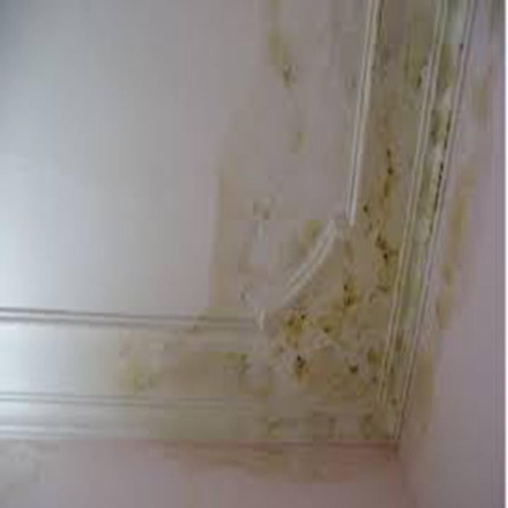 Chống thấm tường Wall Putty Bosny (B219) - Nhập khẩu Thái Lan