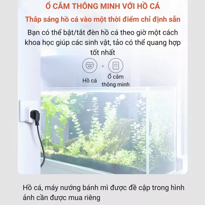 Ổ Cắm Điện hẹn giờ thông minh wifi điều khiển từ xa Bảo hành 12 tháng PR-SW07 Pingron