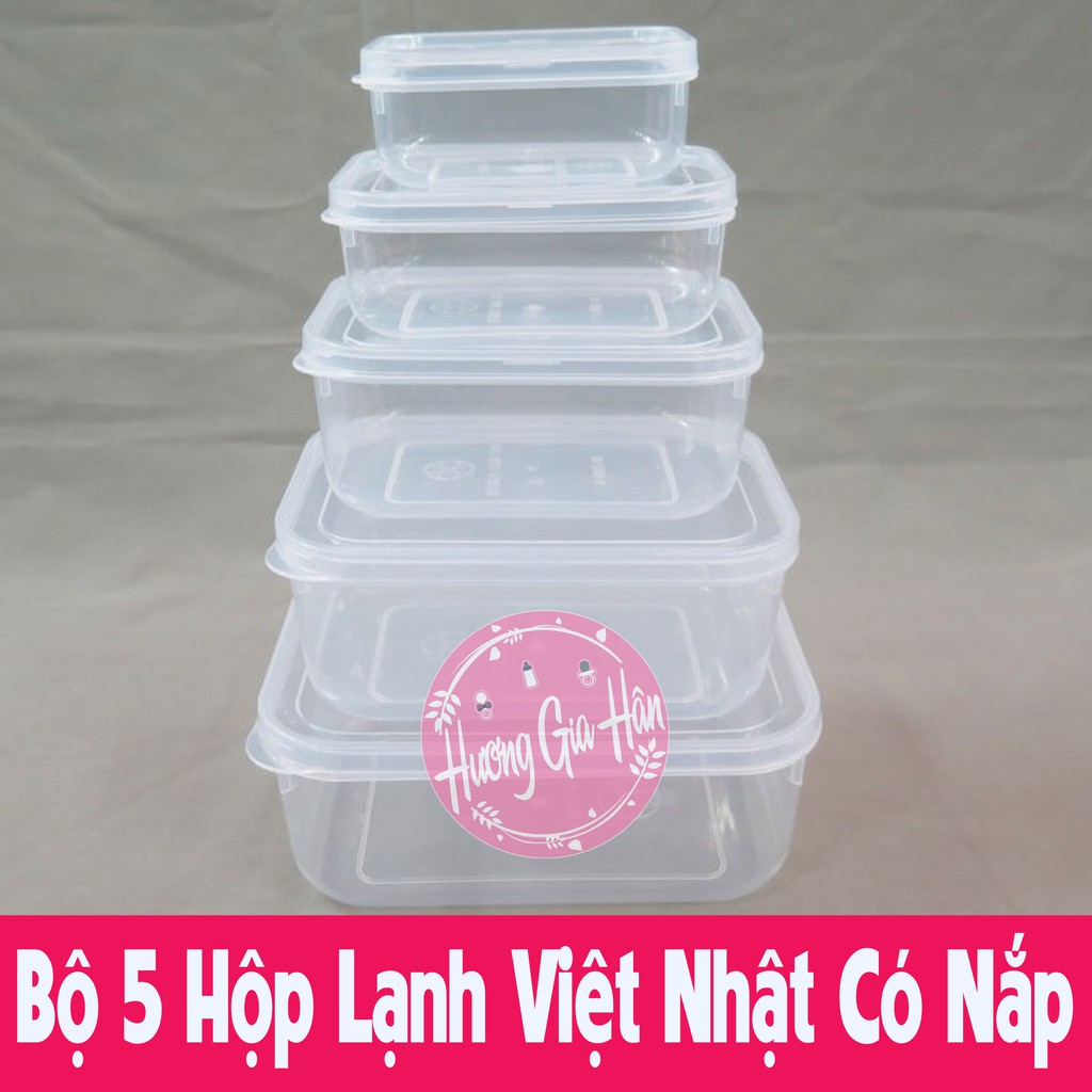 Bộ 5 Hộp Lạnh Việt Nhật Có Nắp