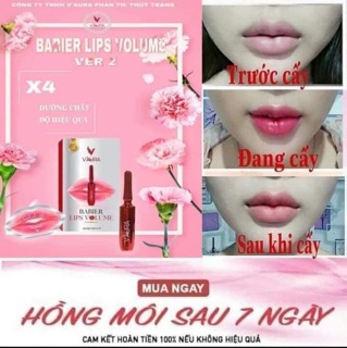 CAY MOI TANG NA MOI