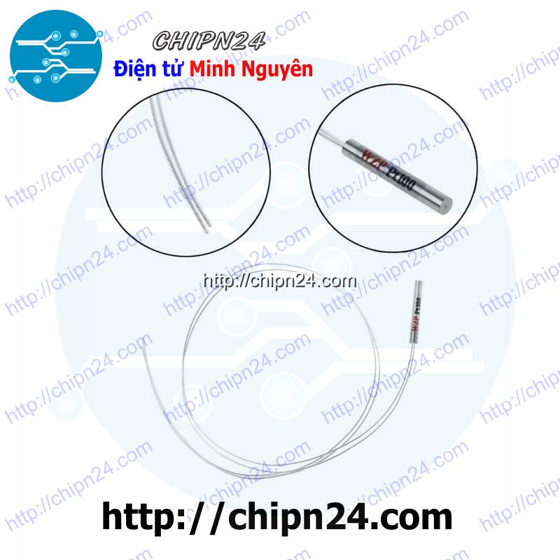 [1 CÁI] (E56) Dây Đo Nhiệt Độ Cảm biến WZP PT100, ống đo kích thước 4*30mm, dây dài 50cm