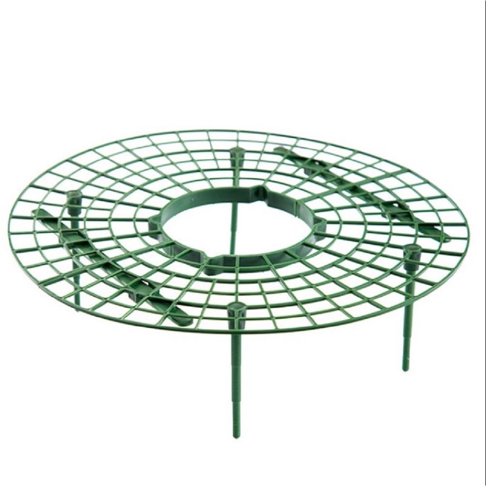 DORAW 1 Khung Trồng Dâu Tây Bảo Vệ Chậu Cây