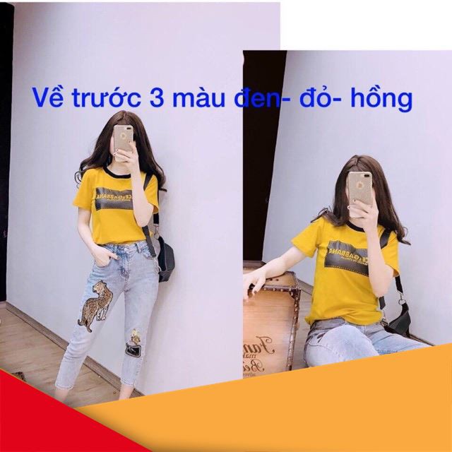 [ Sale Off ] [xả_kho] Áo phông thụng Dg thời trang lamer