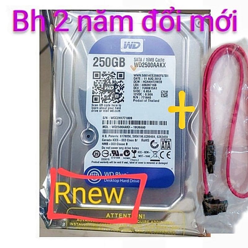 Ổ cứng hdd 250g 500gb bảo hành 2 năm | BigBuy360 - bigbuy360.vn