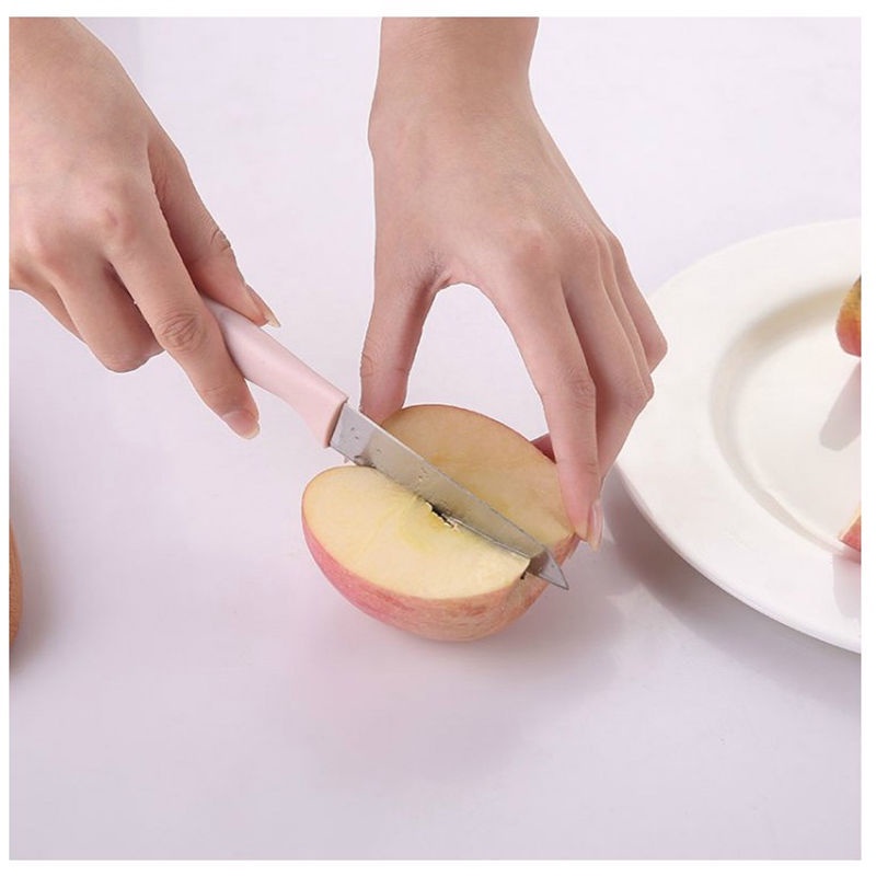 Dao gọt hoa quả có nắp an toàn, dao gọt trái cây chất liệu thép không gỉ HQ1, HQ2, HQ3