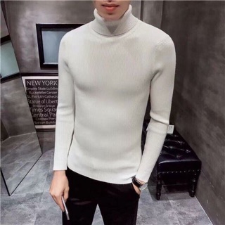 Áo len cổ lọ nam (ảnh shop chụp )