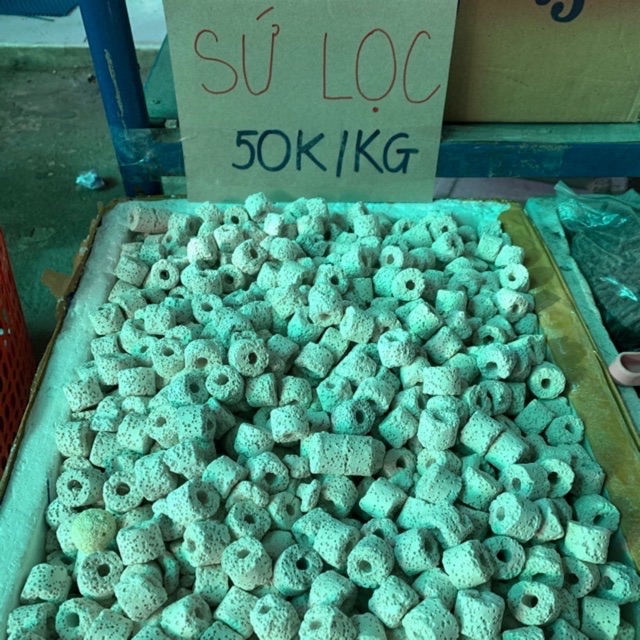 SỨ VIÊN TRẮNG LỌC HỒ CÁ  ]