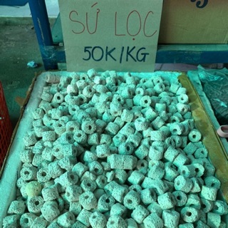 SỨ VIÊN TRẮNG, SỨ VIÊN ĐỎ LỌC HỒ CÁ ( 100g ) ]