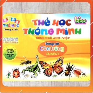 Đồ chơi thẻ học thông minh song ngữ Bibo cho bé - thẻ flashcard Anh Việt chủ đề các loại côn trùng: