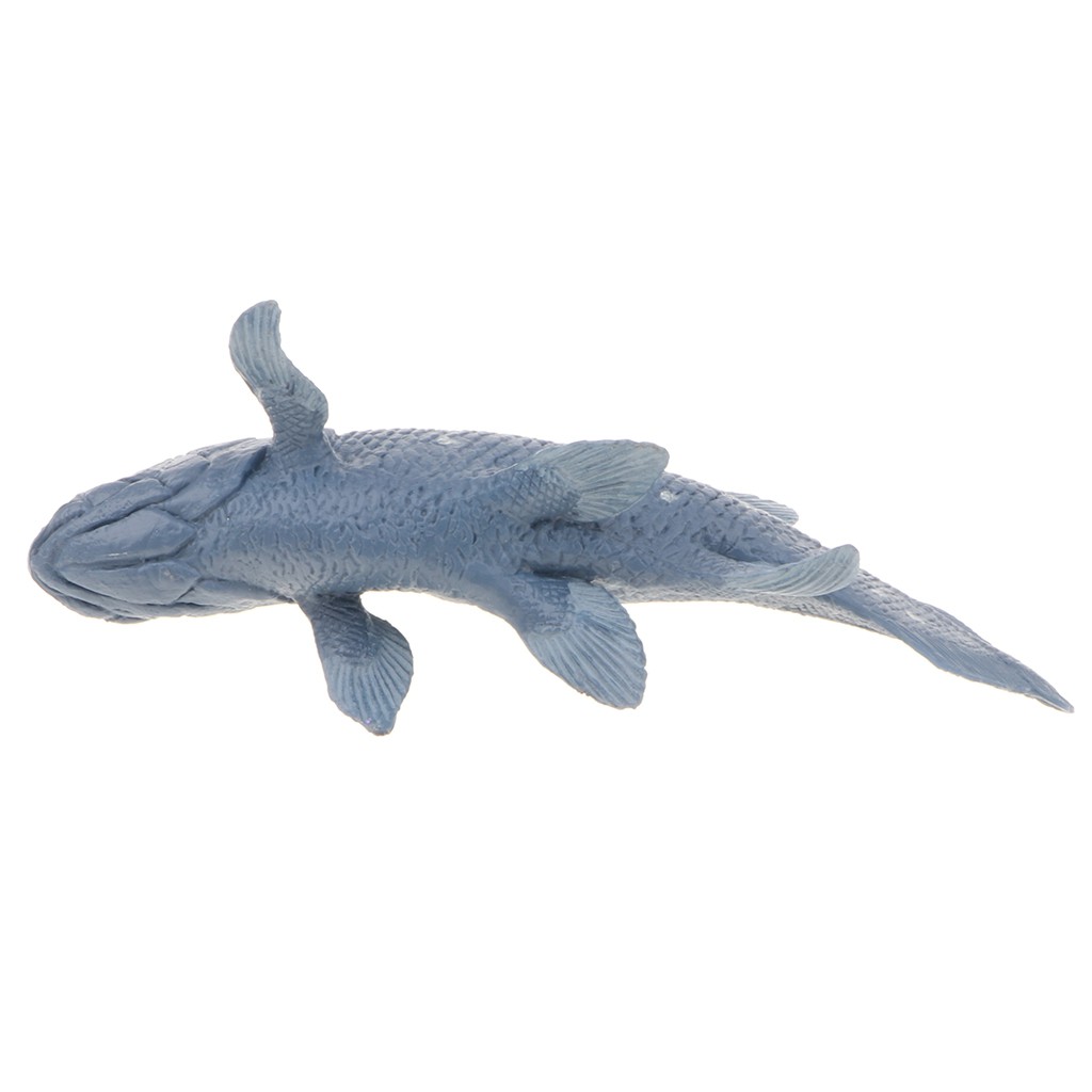 [Baosity 1] Mô Hình Động Vật Biển Sống Động Như Thật Trang Trí Nhà Cửa