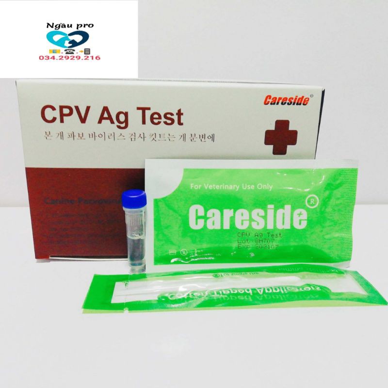 Que test xét nghiệm chuẩn đoán nhanh bệnh care CDV và Parvo CPV chó kit Careside hàn quốc